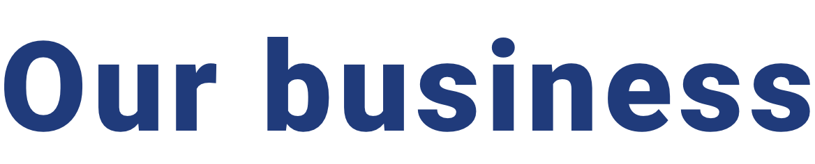 Our business