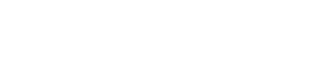 Our business